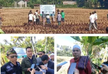 Setelah 40 Tahun, Tanah Wakaf Masjid Kuripan Diamankan usai Putusan Inkrah