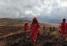 Ribuan Hektar Savana TN Tambora, Terbakar
