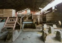 Dari Letusan Dahsyat Menuju Kopi Terbaik. Jejak Sejarah Perkebunan Kopi Tambora