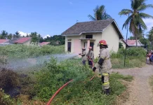 Damkarmat Lombok Timur Berhasil Padamkan Kebakaran Lahan di Seruni Mumbul