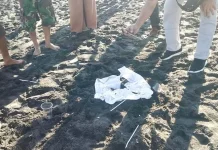 Heboh Diduga Orok Bayi di Pantai Selingkuh, Polisi: Ternyata Limbah Perut Ikan