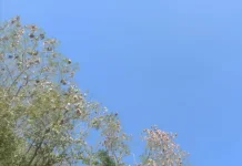 Cuaca Cerah Berawan di Bima Dompu