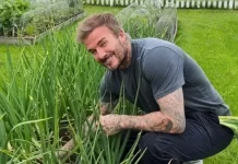 Dari Lapangan Hijau ke Kebun, Aksi Seru David Beckham Jadi Petani