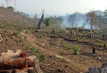 Aktivis Soroti Tradisi Nhoho yang Terus Ancam Hutan Dompu