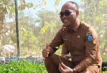 Pemprov NTB Dorong Pemanfaatan Pekarangan untuk Urban Farming
