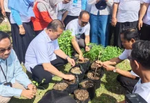 Tekan Inflasi, Siswa Baru di NTB Wajib Tanam Cabai