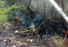 Kebakaran Lahan Tebu di Jerowaru Berhasil Dipadamkan Damkarmat Lotim