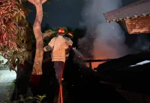Kandang Kambing Terbakar di Sukamulia, Damkarmat Berhasil Cegah Api Meluas