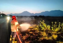 Warga Panik, Damkarmat Padamkan Kebakaran Sampah di Pringgabaya