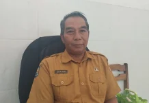Bantuan Benih Unggul Dorong Peningkatan Produksi Padi dan Jagung di Lombok Timur