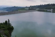 Mengajak Anak Mencintai Lingkungan Sejak Dini, Mulai dari Hal Sederhana