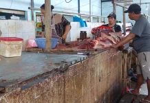 Dapur SPPG Kembali Aktif, Permintaan Bahan Pokok Meningkat