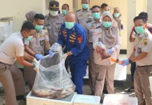 Karantina NTB Musnahkan Tiga Ton Produk Hewan dan Ikan tanpa Dokumen