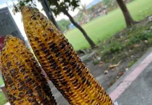 Jagung Bakar Pedas Manis Khas Lombok, Camilan Sederhana yang Selalu Dirindukan