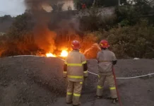 Lahan Terbakar di Anjani, Damkarmat Lotim Cegah Api Merembet ke Permukiman