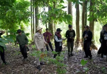 Kanwil Kemenkum NTB Kawal Pemeriksaan Indikasi Geografis Kopi Robusta Rinjani
