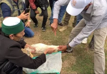 Ayam Putih Disembelih, Warga Lobar Desak KPK Miskinkan Harta Hasil Korupsi LAZ