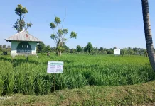 Wabup Loteng Pastikan Kendala Listrik Program Oplah Segera Dituntaskan