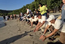 BIZAM Perkuat Konservasi Bahari untuk Dukung Pariwisata Berkelanjutan di Lombok