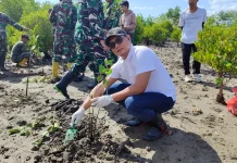 ITDC Perkuat Rehabilitasi Mangrove The Mandalika