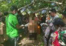 Cari Pakan Ternak, Temukan Ayah Gantung Diri
