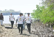 Peringati Hari Mangrove Sedunia, Bank NTB Syariah Tanam Mangrove