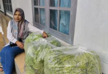 UMKM Lokal Dukung Program MBG, UD Lapak Hijau Pasok Sayuran Hidroponik Berkualitas
