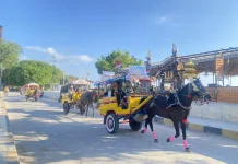 Cidomo Gili Trawangan,Warisan Kearifan Lokal yang Tetap Bertahan