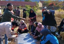 Dari Geopark ke Ruang Kelas, GEMS Dorong Sekolah Jadi Laboratorium Konservasi