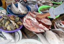Pantai Lekok Berpeluang Jadi Sentra Pelelangan Ikan Lombok Utara