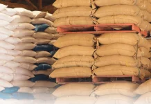 KLU Siagakan 52 Ton Beras Cadangan, Antisipasi Bencana dan Krisis Pangan