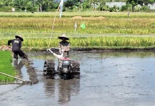 Warige Pemandu Petani di Lombok