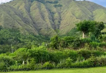 Pariwisata Sembalun Menggeliat, Pemda Terus Lakukan Pembenahan