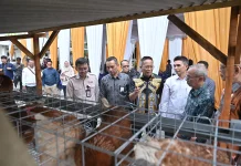 Bank NTB Syariah Dukung Program Desa Berdaya, Salurkan Bantuan Ayam Petelur