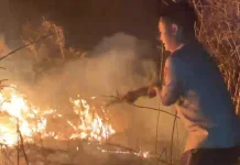 Kapolres Lombok Timur Pimpin Langsung Pemadaman Karhutla di Kawasan TNGR