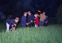 Buka Festival Mobok Balang, Gubernur Minta Warga Tanah Beak Jaga Alam dan Sejarah