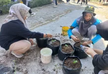 Program BESTI Ajak Siswa SMPN 4 Batukliang Tanam Cabai