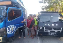 Hindari Motor dan Lubang, L-300 Tabrak Truk, Satu Tewas