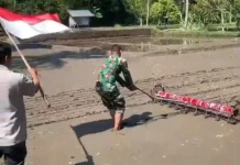 Sinergi TNI dan Petani Percepat Modernisasi Pertanian Suranadi