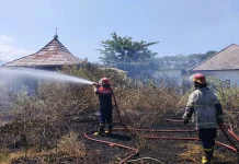 Cuaca Panas Diduga Picu Kebakaran Lahan di Pringgabaya