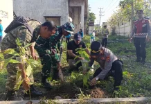 Polsek Ampenan Tanam 60 Pohon di Taman Loang Baloq