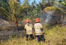 Kebakaran Lahan di Labuhan Haji Berhasil Dipadamkan Damkarmat Lombok Timur