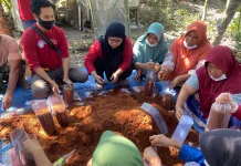 Ubah Serbuk Kayu Jadi Jamur Tiram, UNDIKMA Dorong Ketahanan Pangan Keluarga