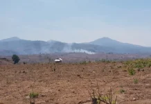 Pertanian Jadi Penopang Ekonomi di Tengah Kemarau Ekstrem