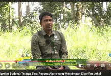 Boleh Berwisata, Jangan Sentuh Pohonnya: Ini Batas di Telaga Biru