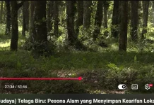Waduh! Lalai Sedikit Dampaknya Panjang
