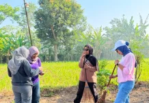 Sambut Hari Radio ke-81, Keluarga Besar RRI Mataram Bersih-Bersih Pemancar Tegal