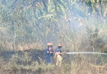 Kebakaran Lahan Dekat Rumah Warga di Aikmel Utara Berhasil Dipadamkan