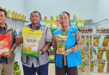 Stok Beras NTB Aman hingga 27 Bulan, Bulog Siap Hadapi Maulid Nabi