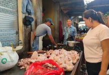 Distan Mataram Perketat Pasokan Ayam untuk MBG